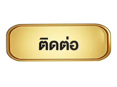 แบนเนอร์ 11