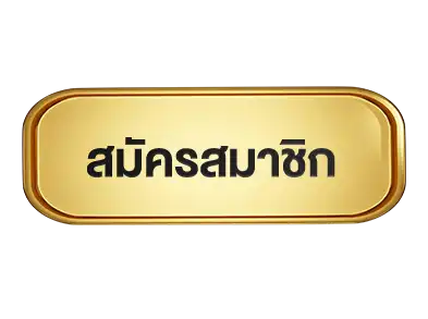 แบนเนอร์ 3